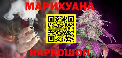индика Можга