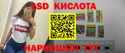 индика Можга