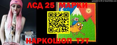 индика Можга