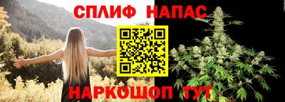 индика Можга