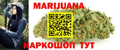 индика Можга