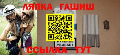 индика Можга