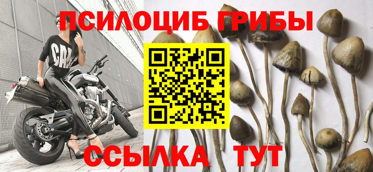 Галлюциногенные грибы мицелий  Галлюциногенные грибы прущие грибы  Вход с VPN  Верхняя Салда 