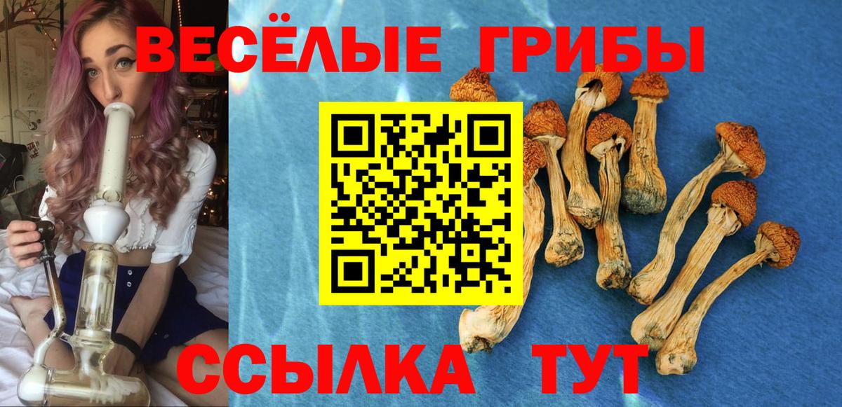 Псилоцибиновые грибы MAGIC MUSHROOMS Верхняя Салда